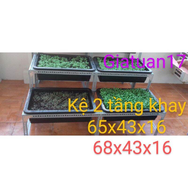 Kệ khung sắt v lỗ 4x4cm bậc thang trồng rau 2 tầng mỗi tầng 2 khay 65x42x15 cm, 68x43x15