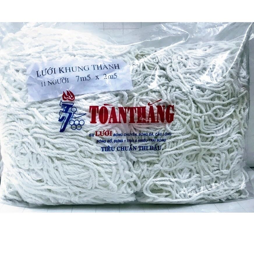 Lưới khung thành sân bóng đá, lưới gôn sân 11 người size 7,5m x 2,5m, hiệu Toàn Thắng