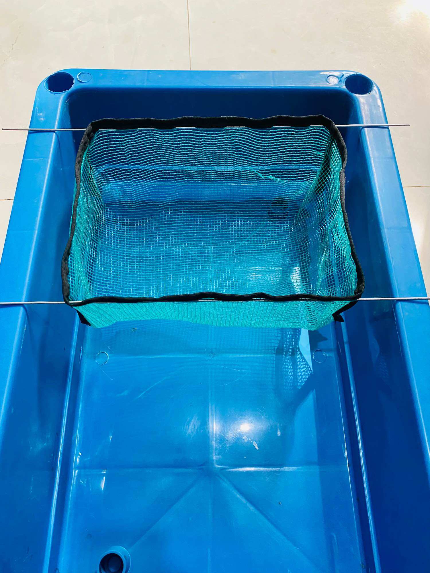 Lồng đẻ cá guppy