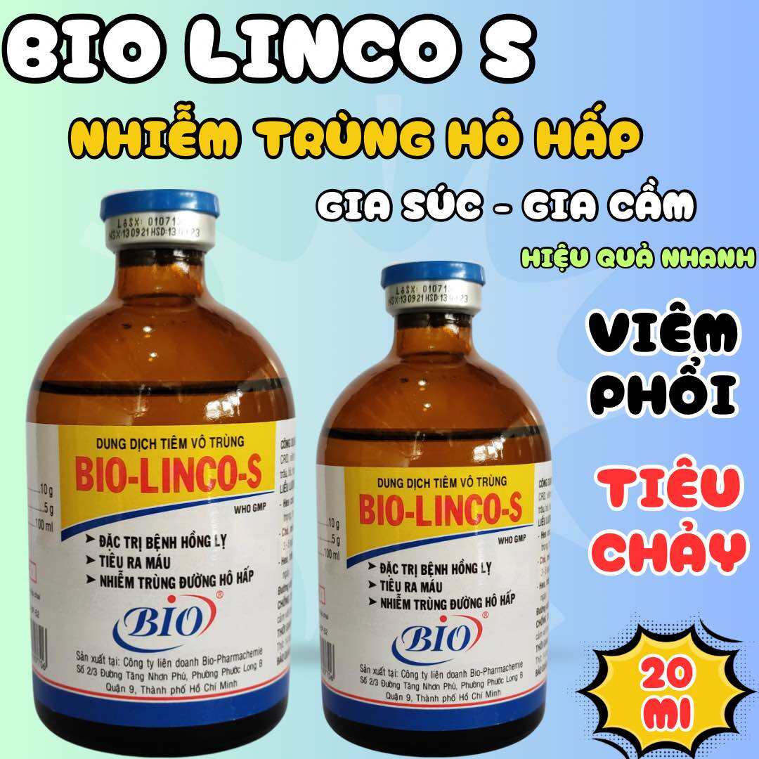 Bio Linco s viêm phổi, viêm khớp gà đá, heo, trâu, bò