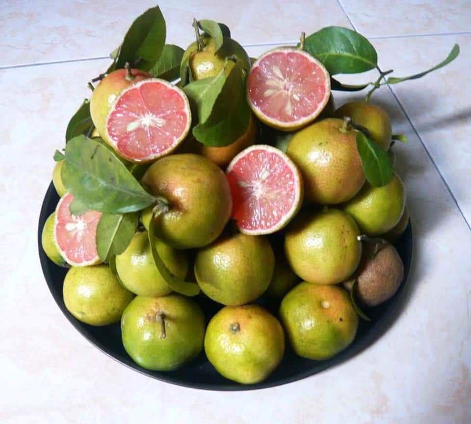 Chanh đào tươi 1kg