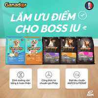 Ganador 3KG Thức Ăn chó nhiều vị ( Chất Lượng )