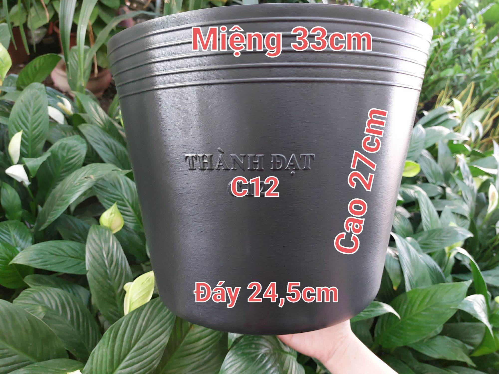 Combo 5cái chậu đen dẻo c12