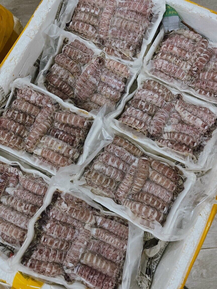 Nõn tôm tích (bề bề) 500g
