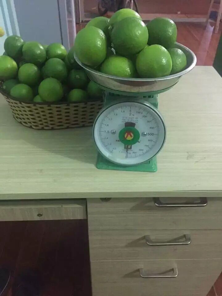 Chanh Xanh Không Hạt Tươi - 1kg