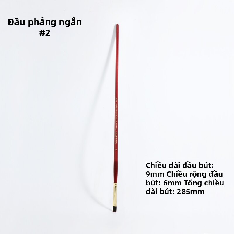 Paul Rubens | Bộ Cọ Vẽ Chuyên Nghiệp Hình Tròn Ngắn Phẳng Filbert và Liner
