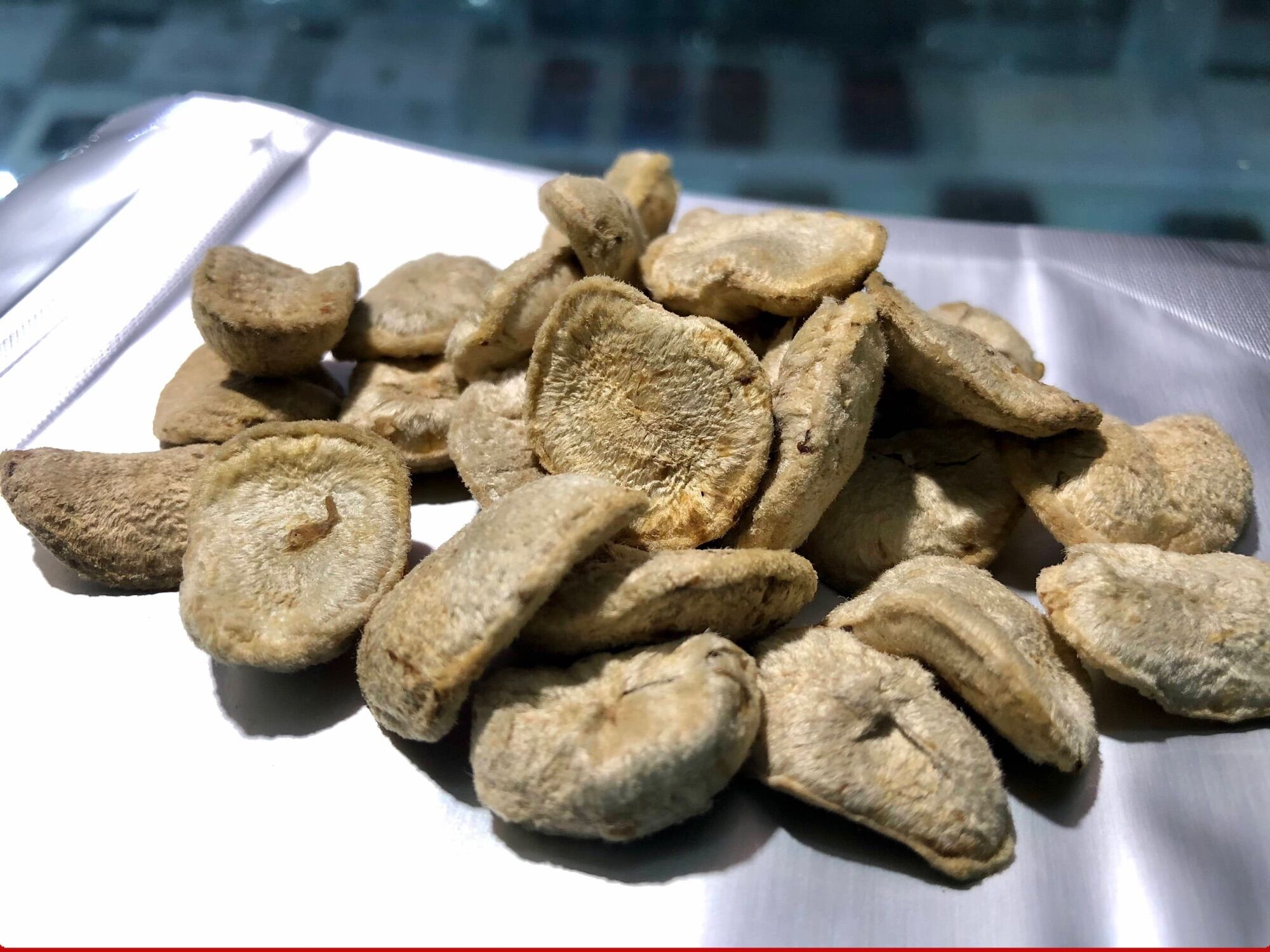 20 Hạt Sang Trắng - Hạt Sành
