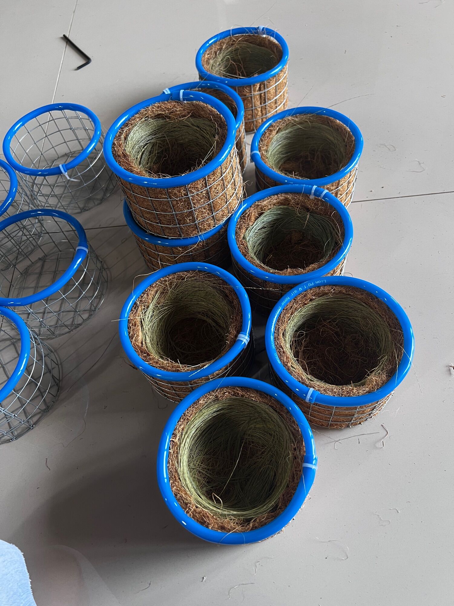Tổ chim chào mào viền xanh  (tặng kèm bông đót và sơ dừa)