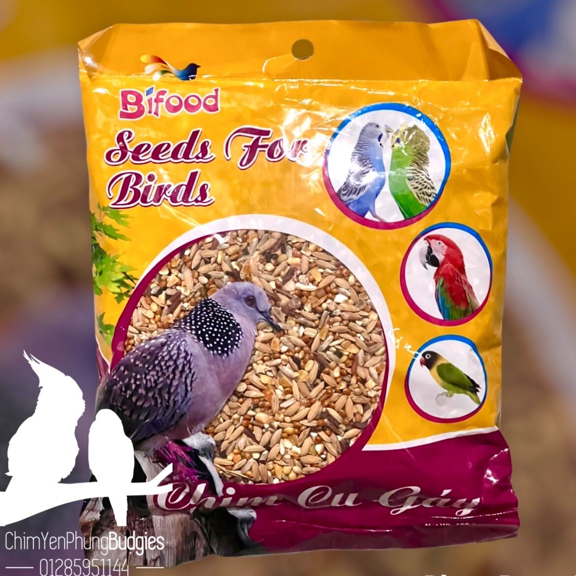 1 gói Ngũ Cốc Bifood cho Cu Gáy Seeds for Bird