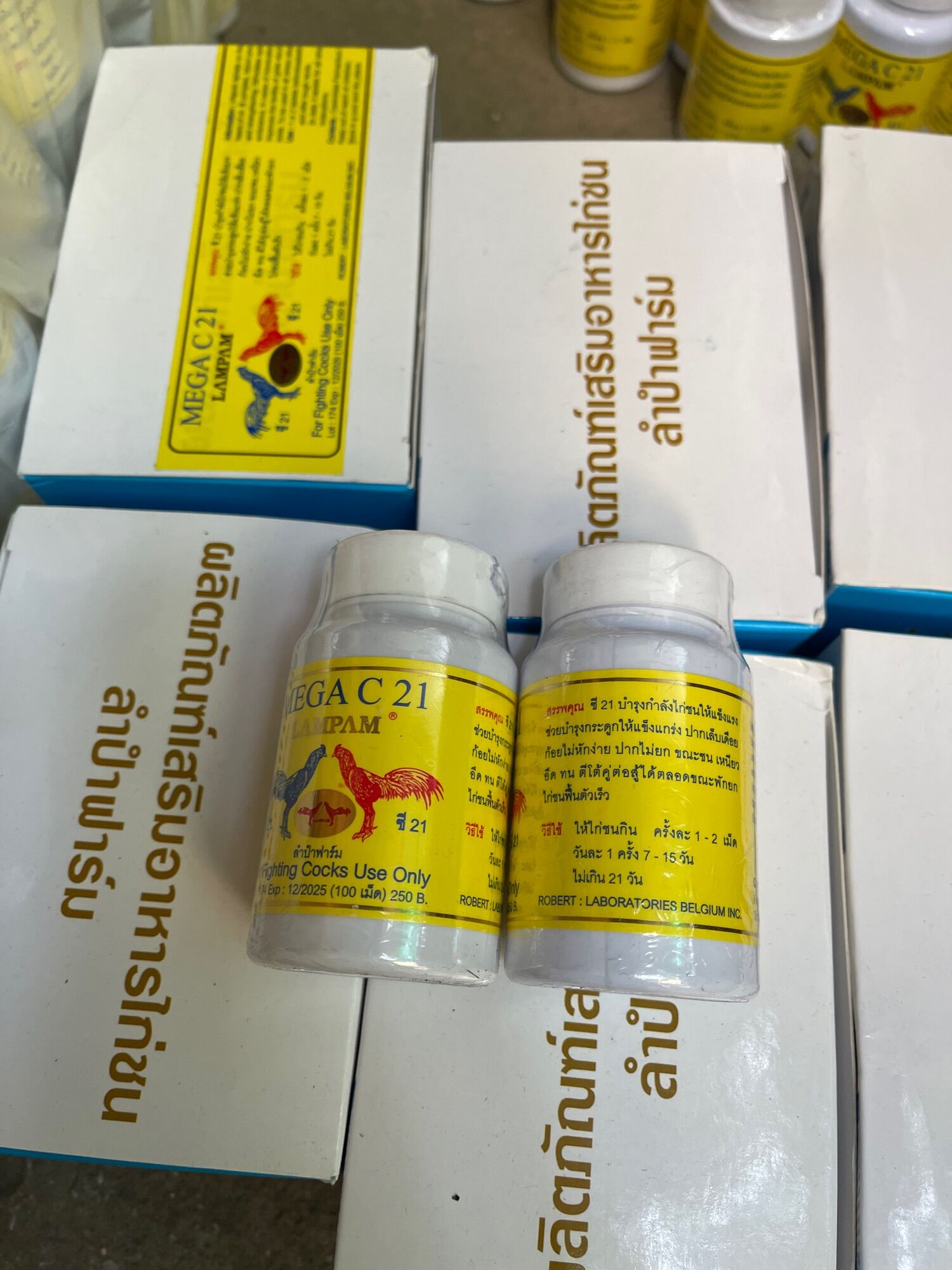 Nuôi gà đá Mega C21 LamPam