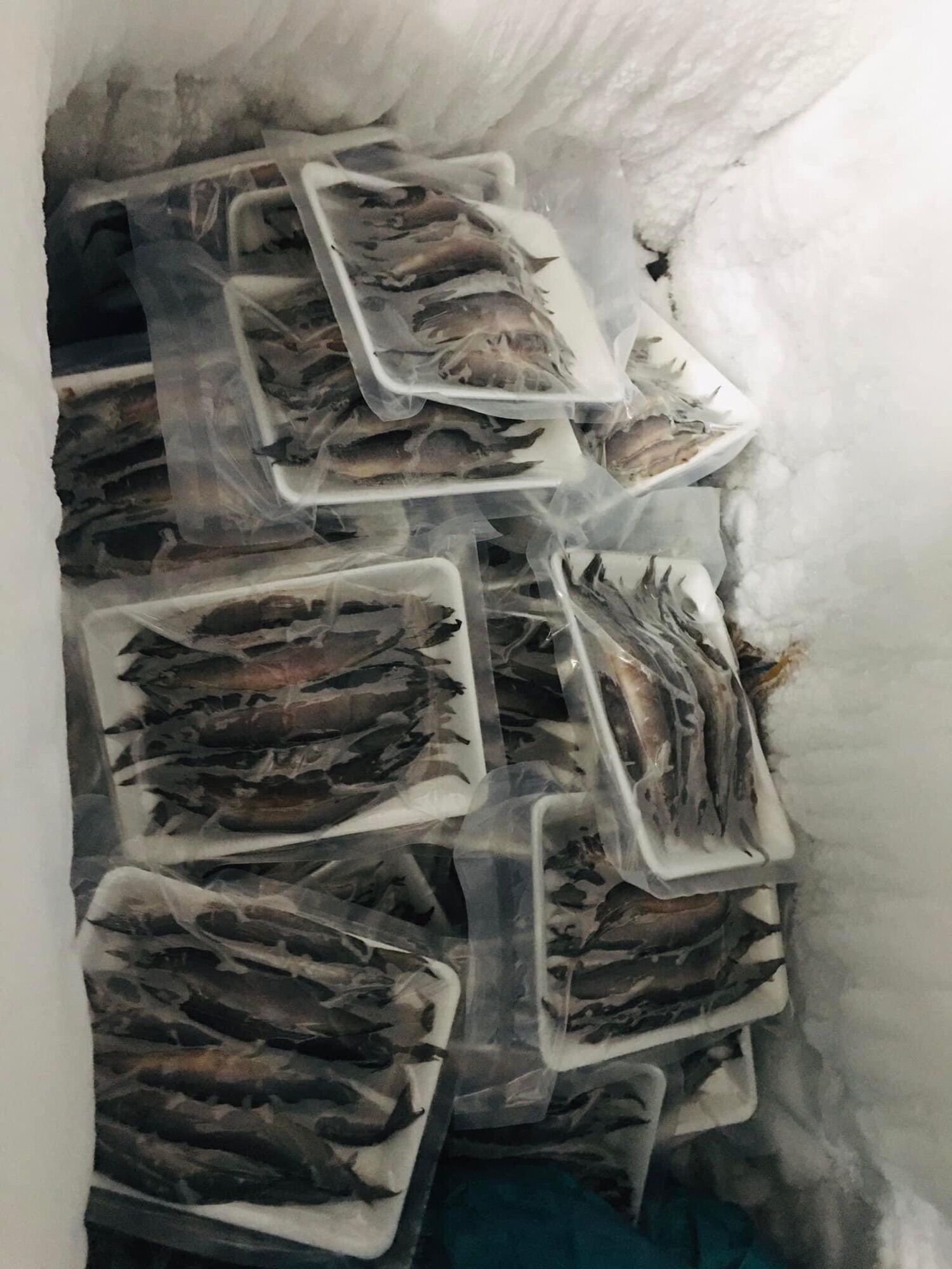 Khô cá chạch sông nửa kí