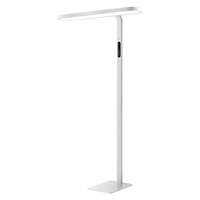 MOON SHADOW | Eye-Protective Study Floor Lamp for Kids Room