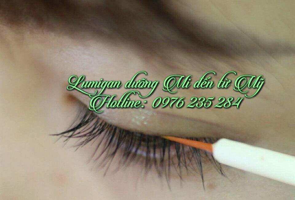 LUMIGAN MỌC LÔNG MÀY