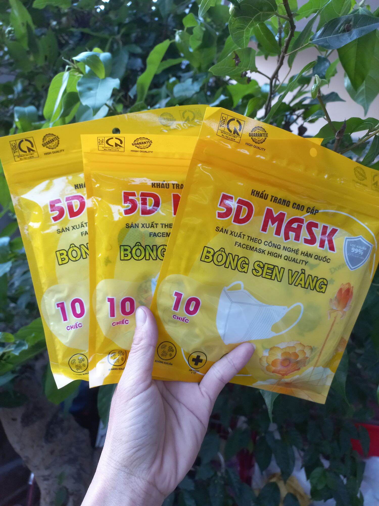 1 túi 10 chiếc khẩu trang 5D mask
