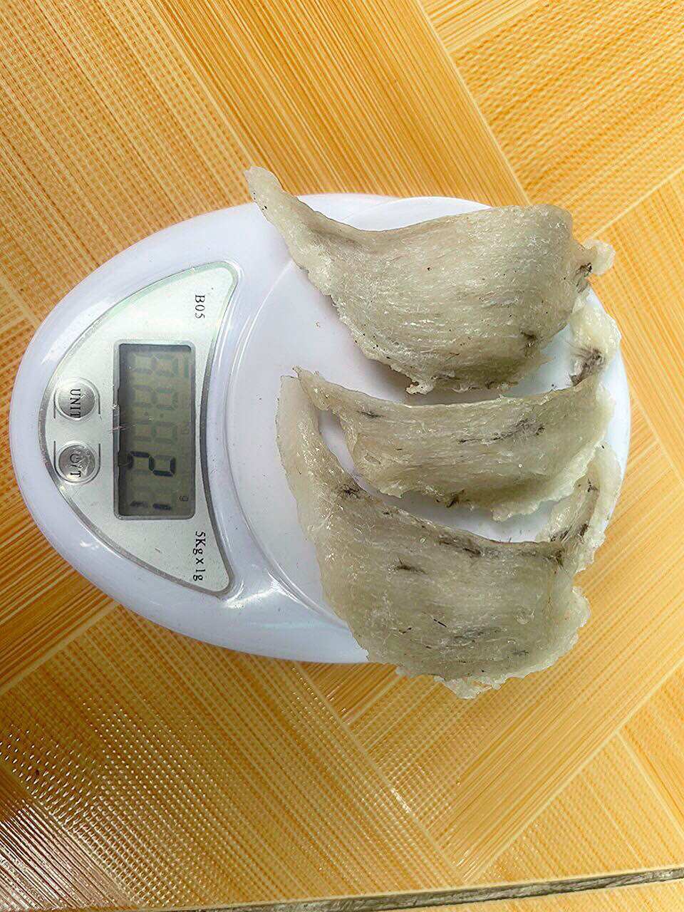 Tổ Yến thô nguyên chất ít lông nhà nuôi