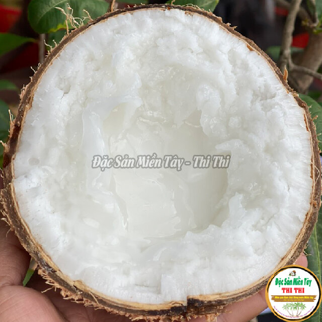 Dừa Sáp Thượng Hạng Loại 1 Size Vừa (Trái 800gr-1Kg)