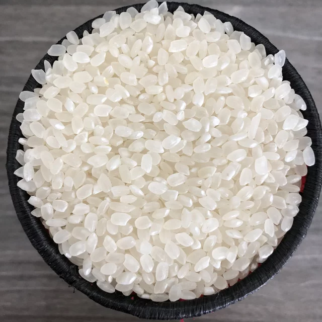 Hạt giống lúa Nhật Japonica túi 1kg
