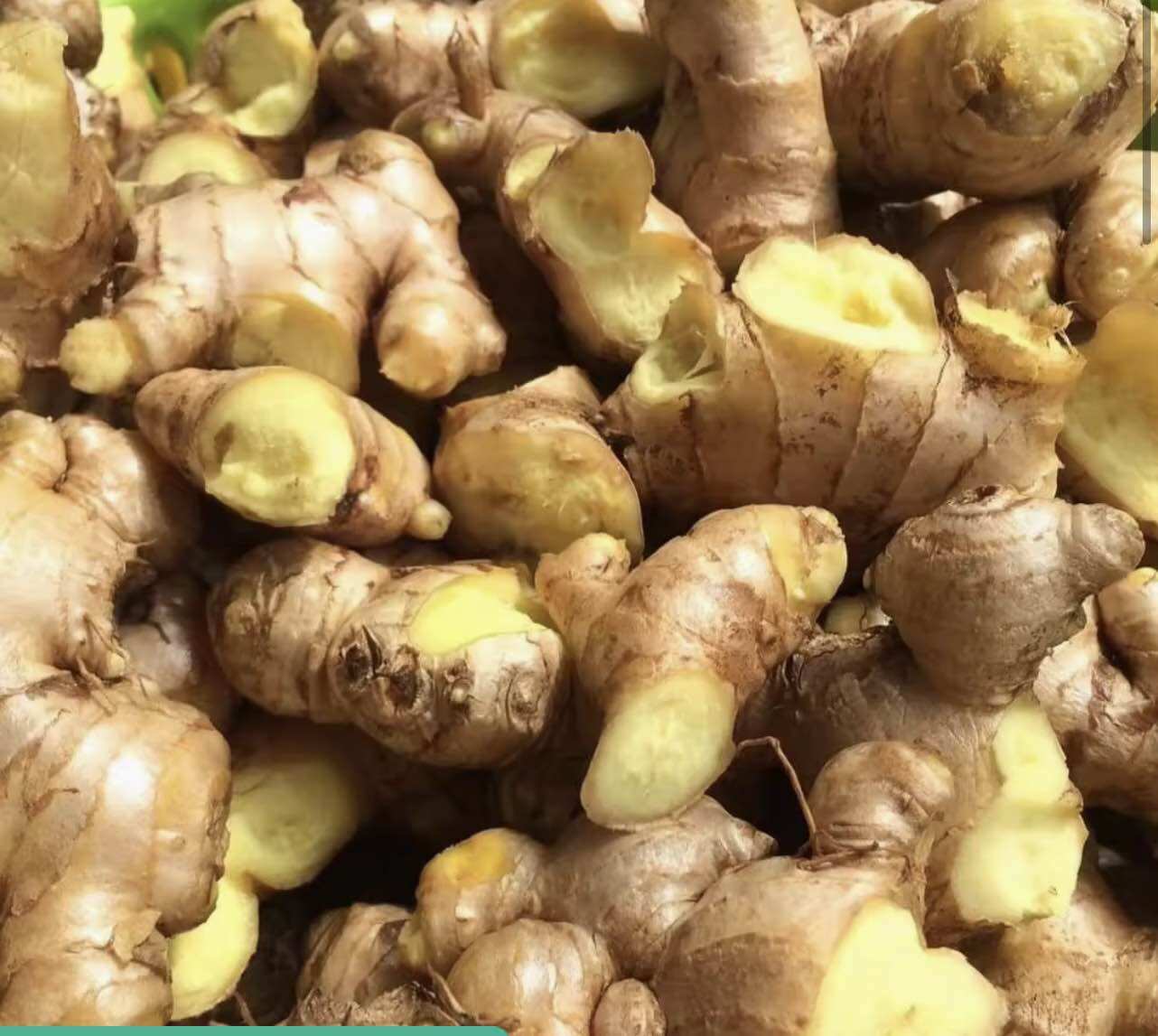 1kg Củ gừng ta tươi ngon nguyên chất 100%