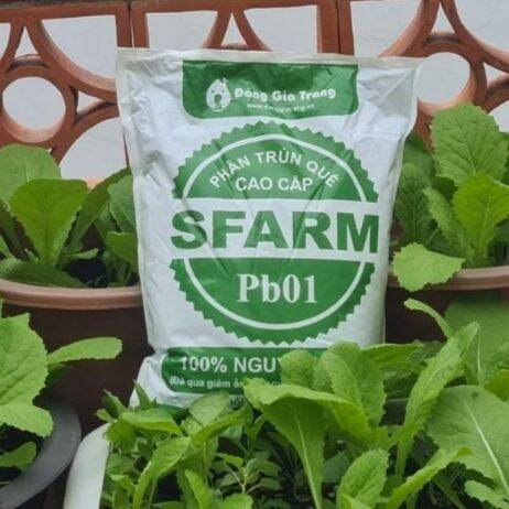 Phân Trùng Quế Cao Cấp Chuyên Dùng Cho Hoa Màu - 2KG