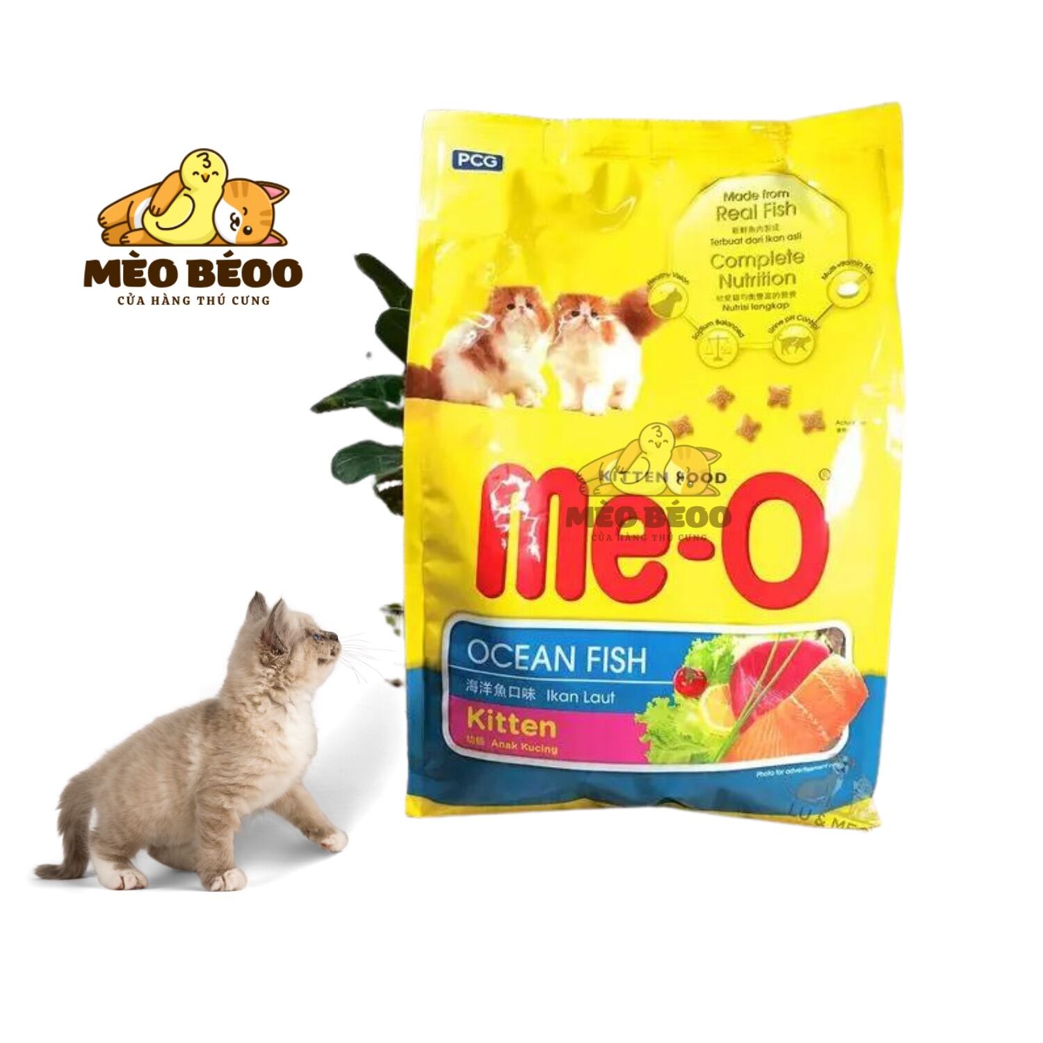 thức ăn cho mèo con Me-O Kitten 1.1kg