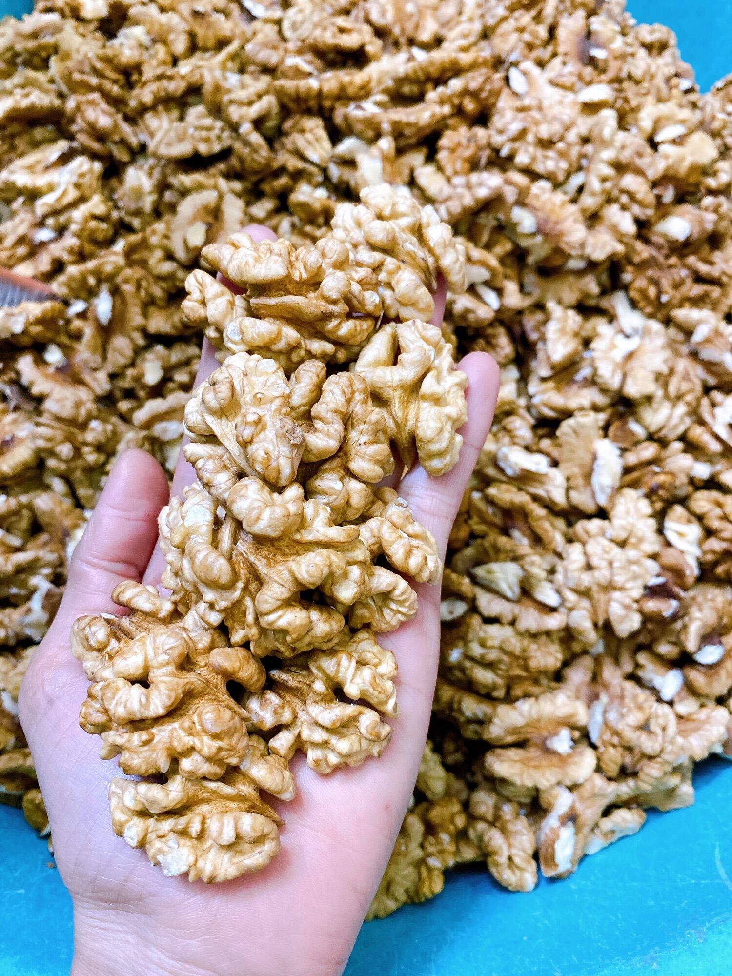 500gr Nhân Óc Chó Vàng khách đặt mới bóc
