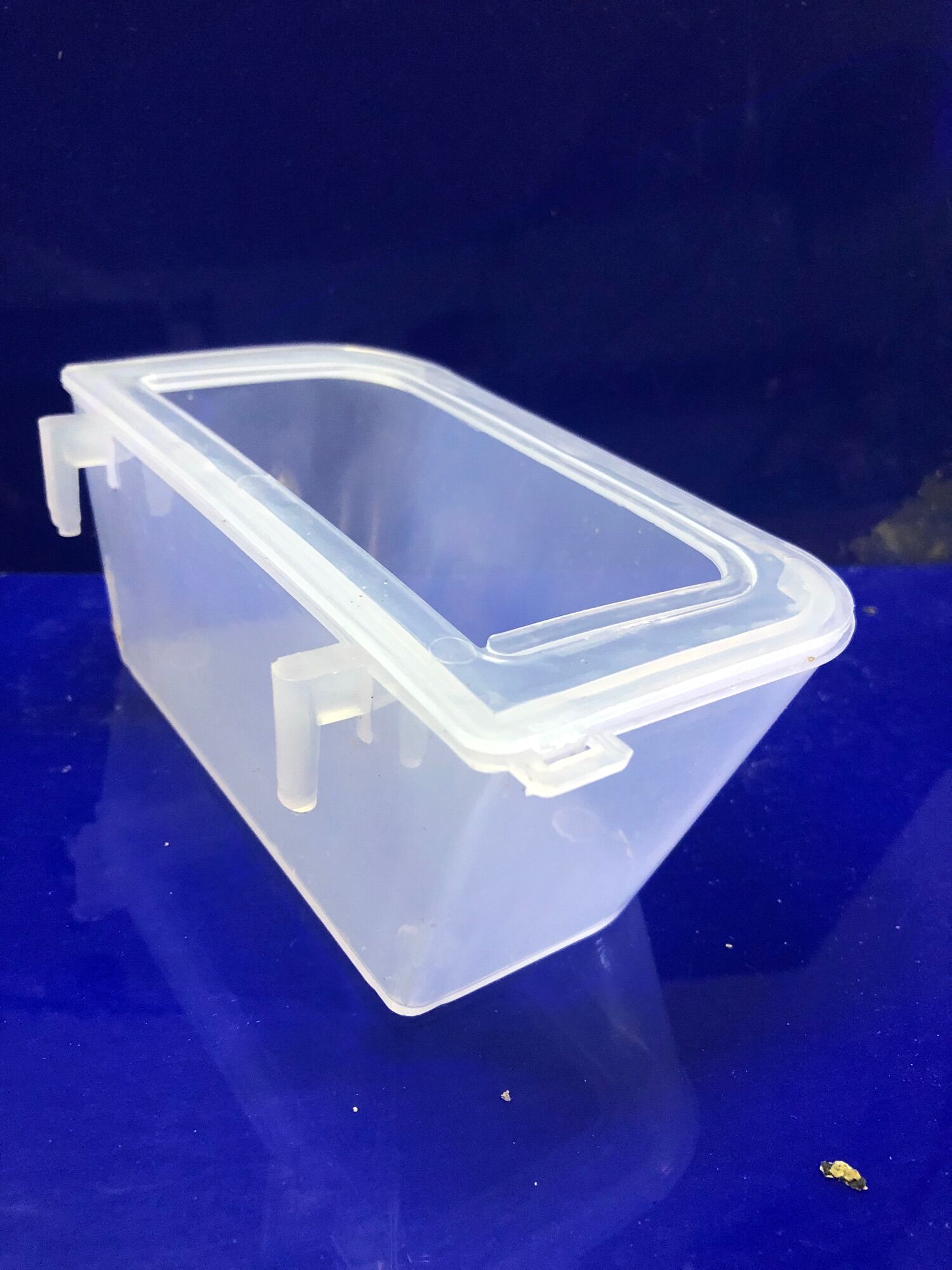 Máng nhựa có vành chống vẩy cho chim, gà