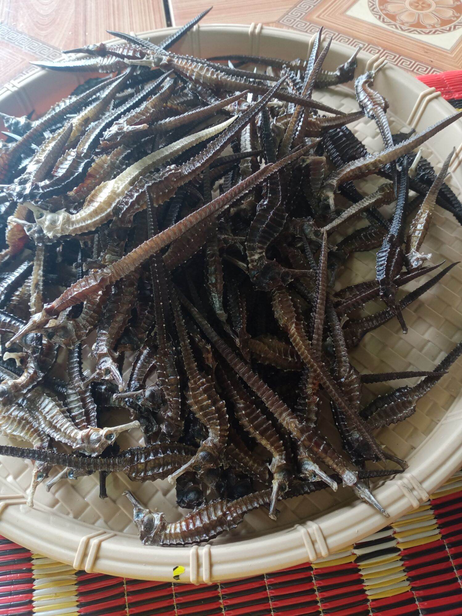 2 con cá ngựa khô dài 12cm