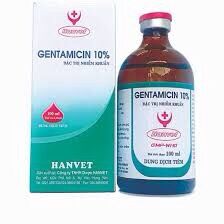 Gentamycin 10% chai 100ml