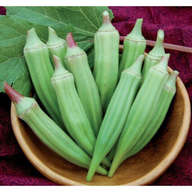 HẠT GIỐNG ĐẬU BẮP CAO SẢN (TRẮNG) - gói 20g