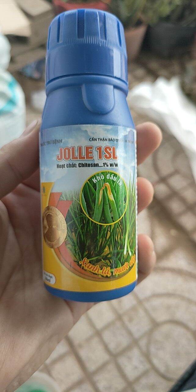 Phân bón, Jolle 1sl 100ml, chitosan 1%, hiệu quả khô đầu lá, vàng lá hành, cứng cây, xanh lá