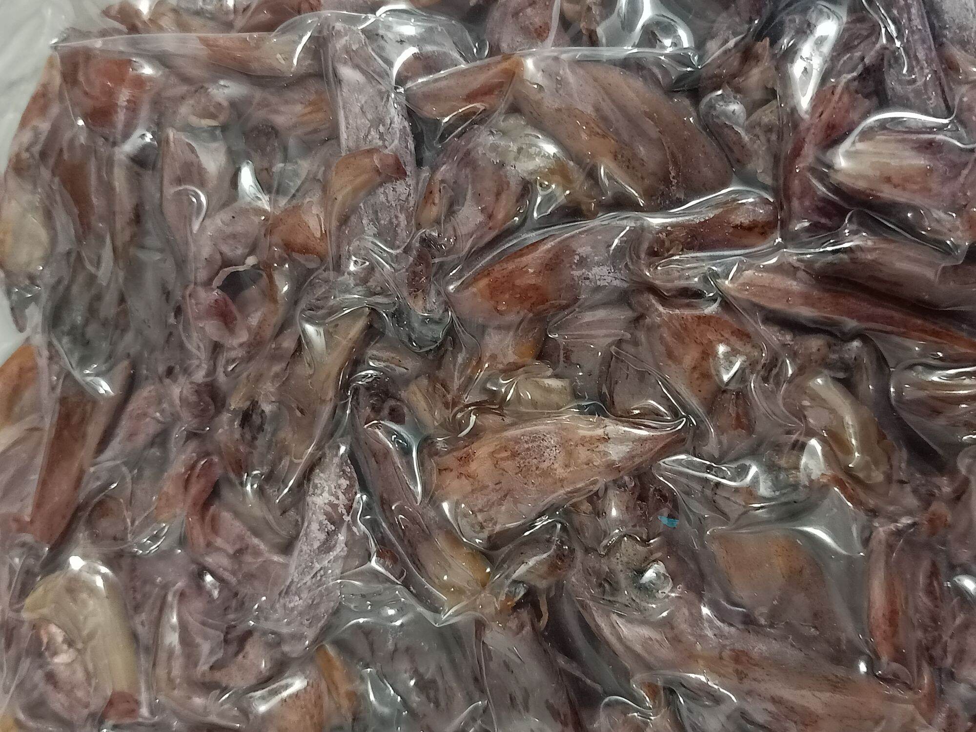 Mực muối lạt size nhỏ 500 gram
