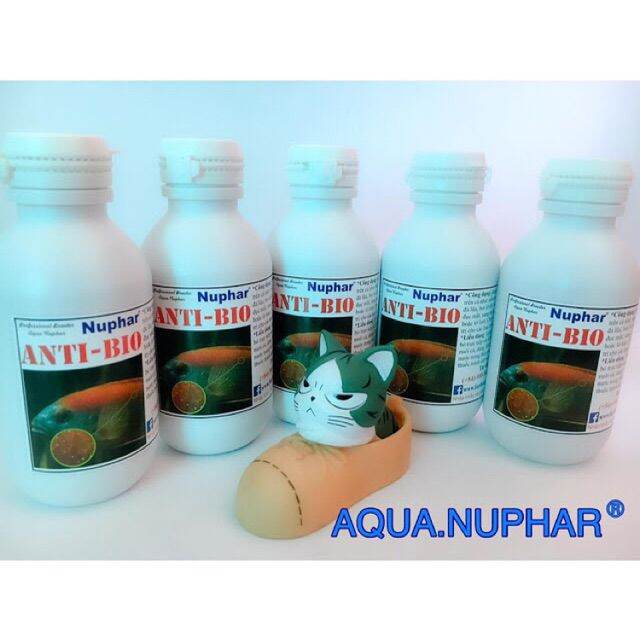 Ngăn ngừa nấm trắng cho cá antibio , antibio nuphar , dưỡng cá ngừa nấm