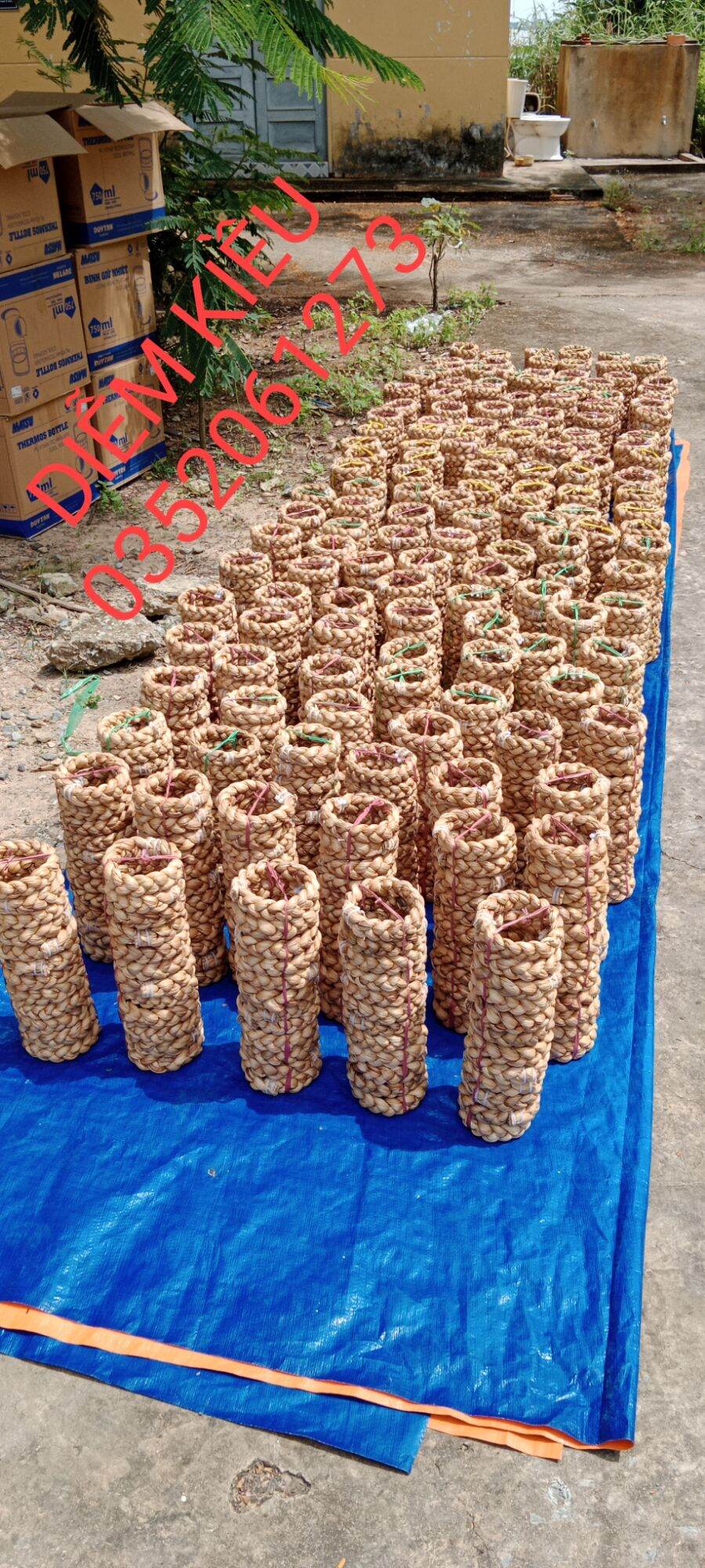 đế chưng dừa
