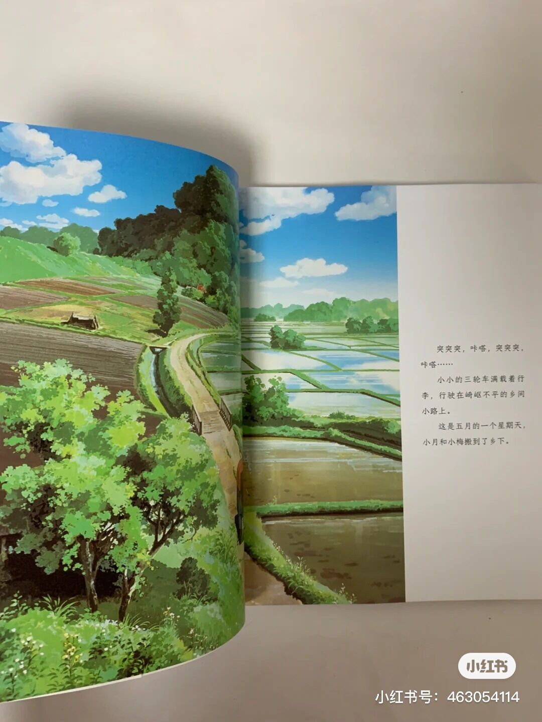 Hàng xóm của tôi là Totoro