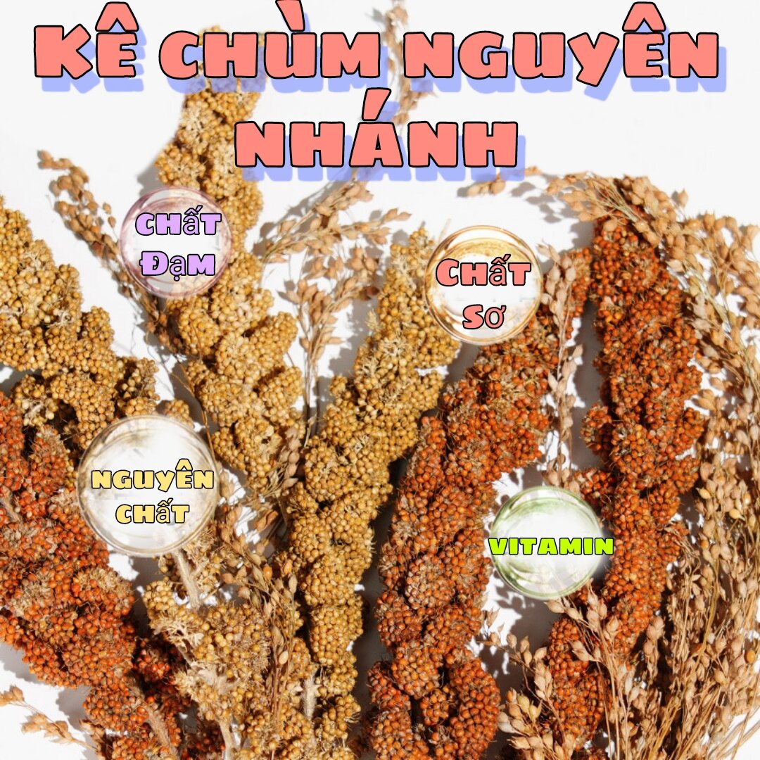 Chùm kê còn nguyên nhánh - Thức ăn cho vẹt, sóc, hamster