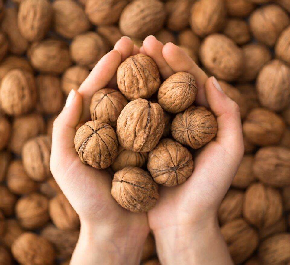 HẠT ÓC CHÓ ĐỎ NHẬP KHẨU TỪ MỸ 1KG - 0.5KG