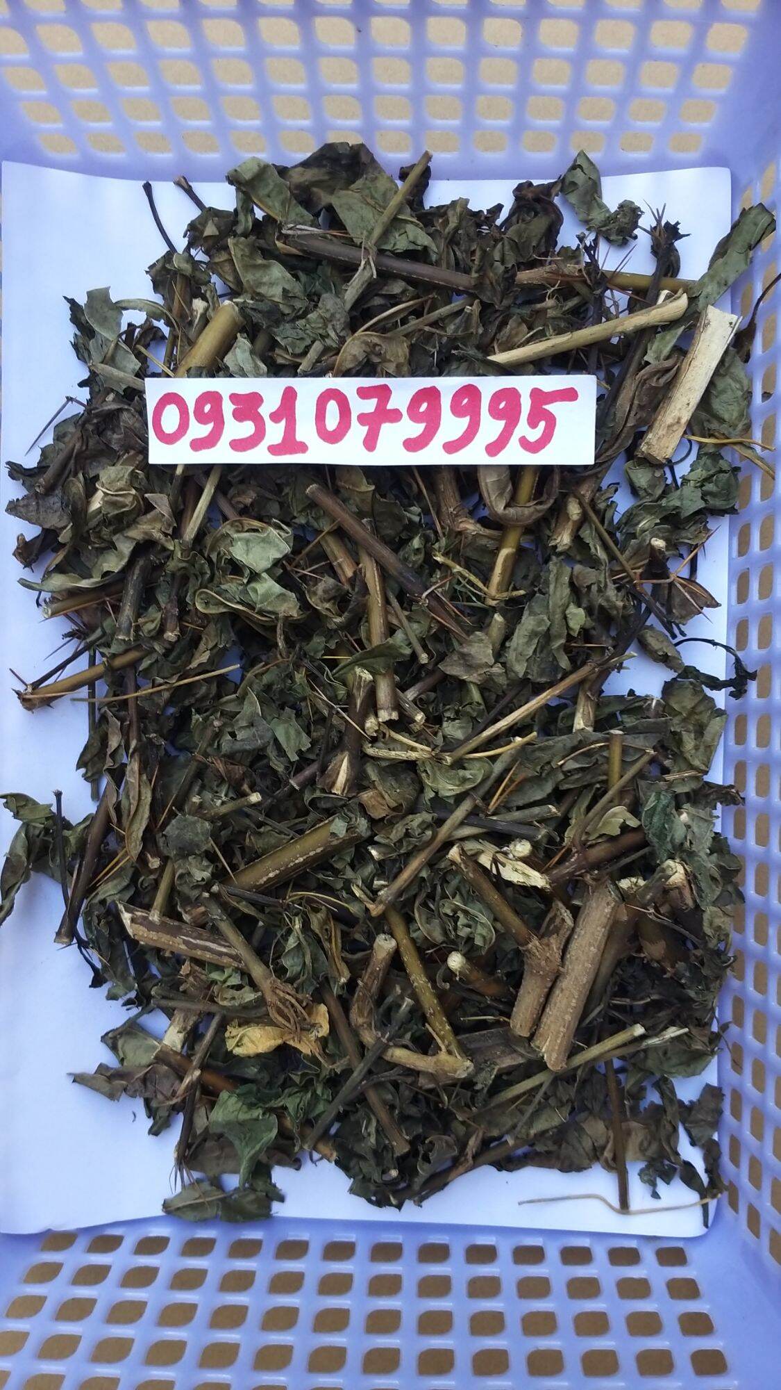 cây kim vàng phơi khô 1kg