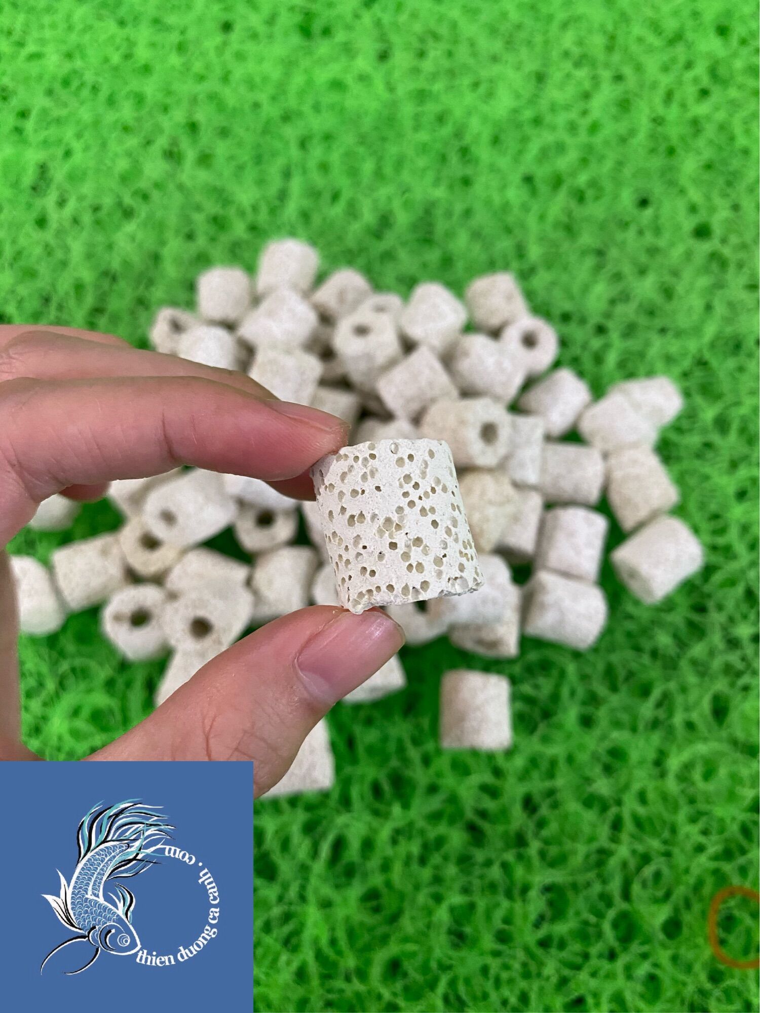 Sứ Lỗ Lọc Nước - Sứ Viên ( Trắng Ngà )