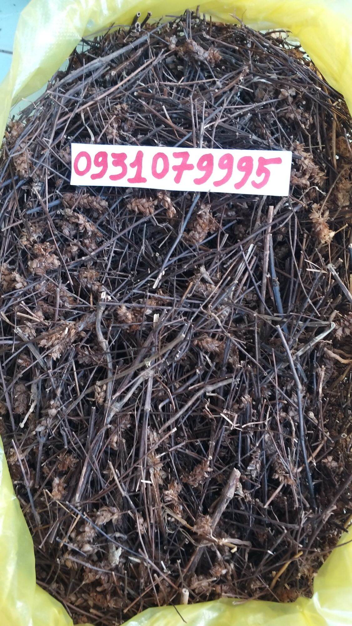 cây nhan trần nam phơi khô 1kg