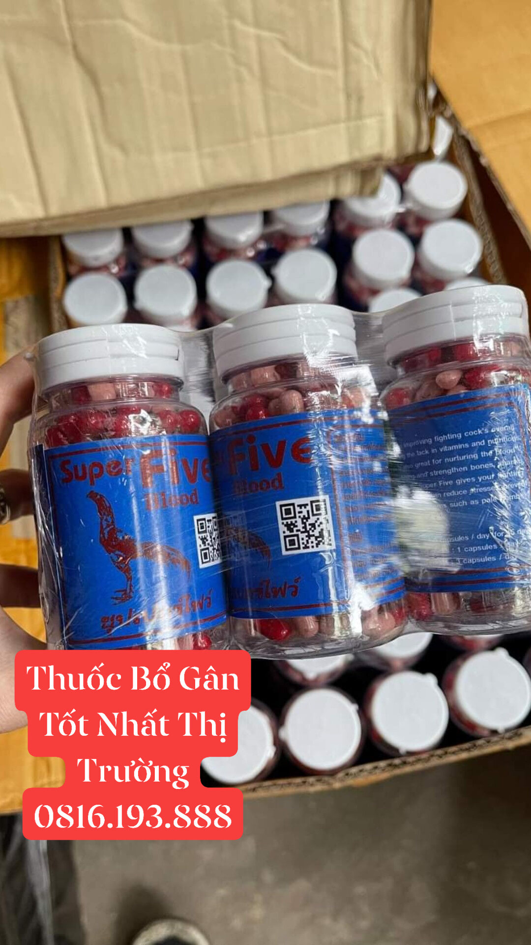 Super Five Blood Thuoc bổ gân gối cho gà