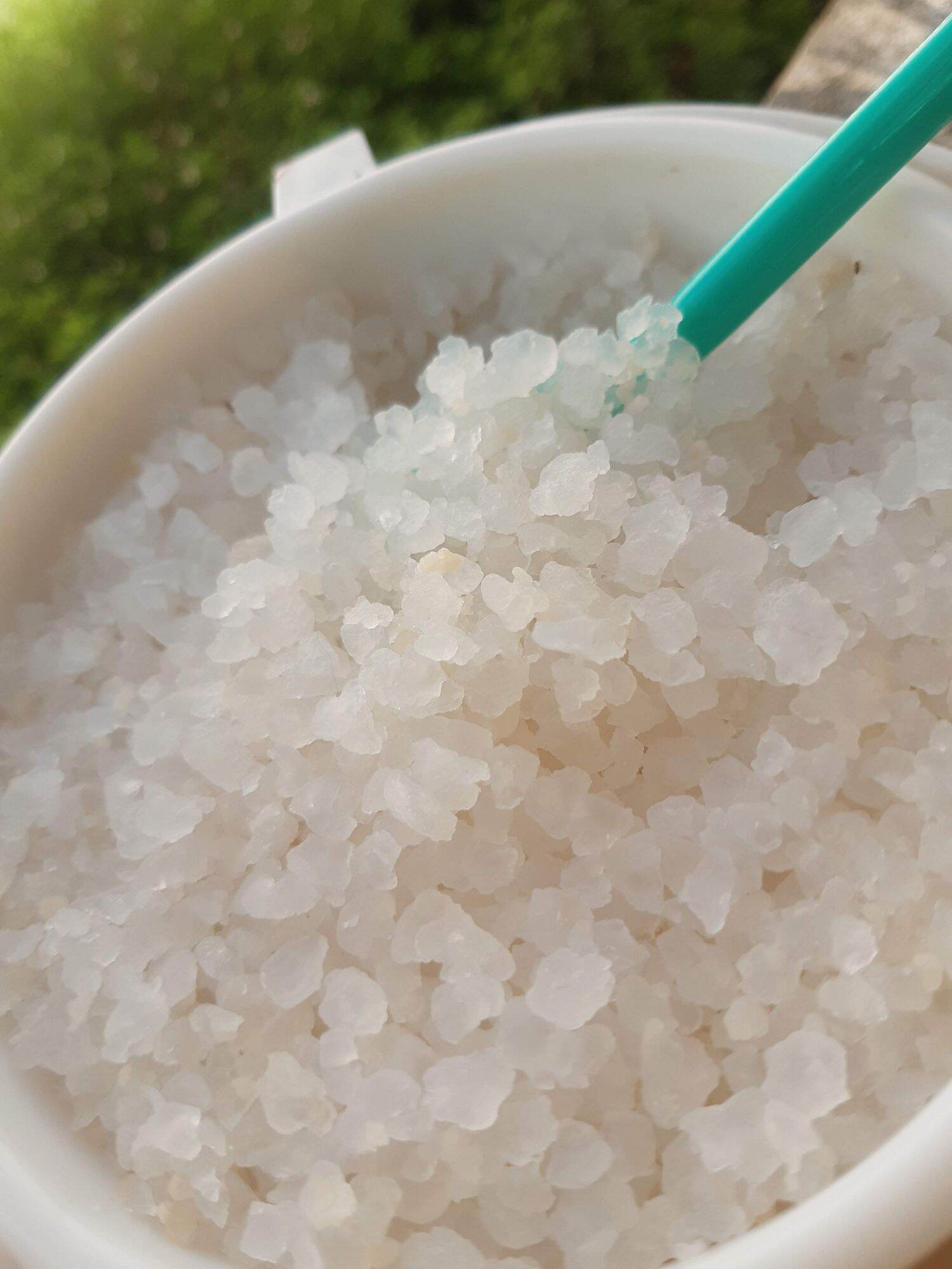 nấm nước kefir( water kefir) đã thuần dừa ( 60gr)