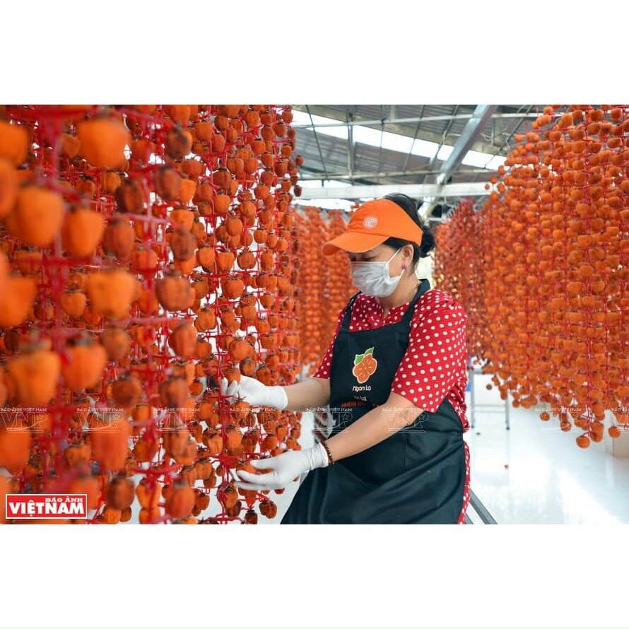 [ 500gr HỒNG TREO GIÓ ] Đặc sản đà Lạt ,dẻo mật ngọt