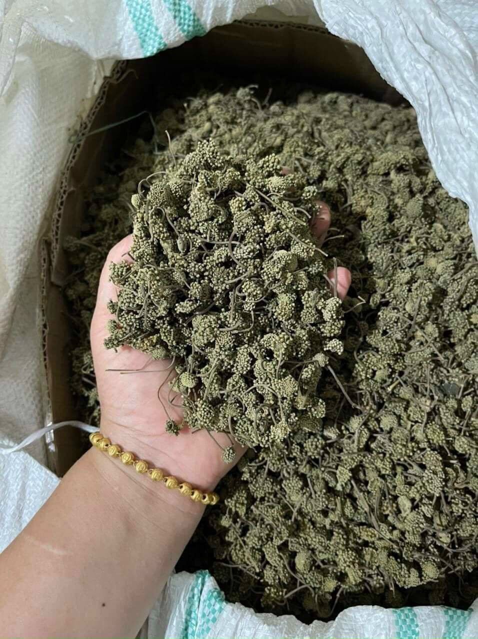 Nụ tam thất sấy khô túi 500g