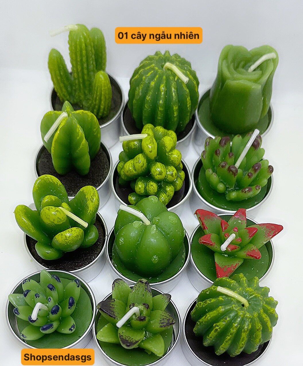 Quà tặng nến sen đá xương rồng siêu xinh🌵 🌵🌵
