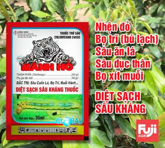 Thuốc trừ sâu chuyên dùng cho mai vàng Mãnh Hổ - Bọ trĩ mai vàng - Chống kháng cực mạnh 35ml