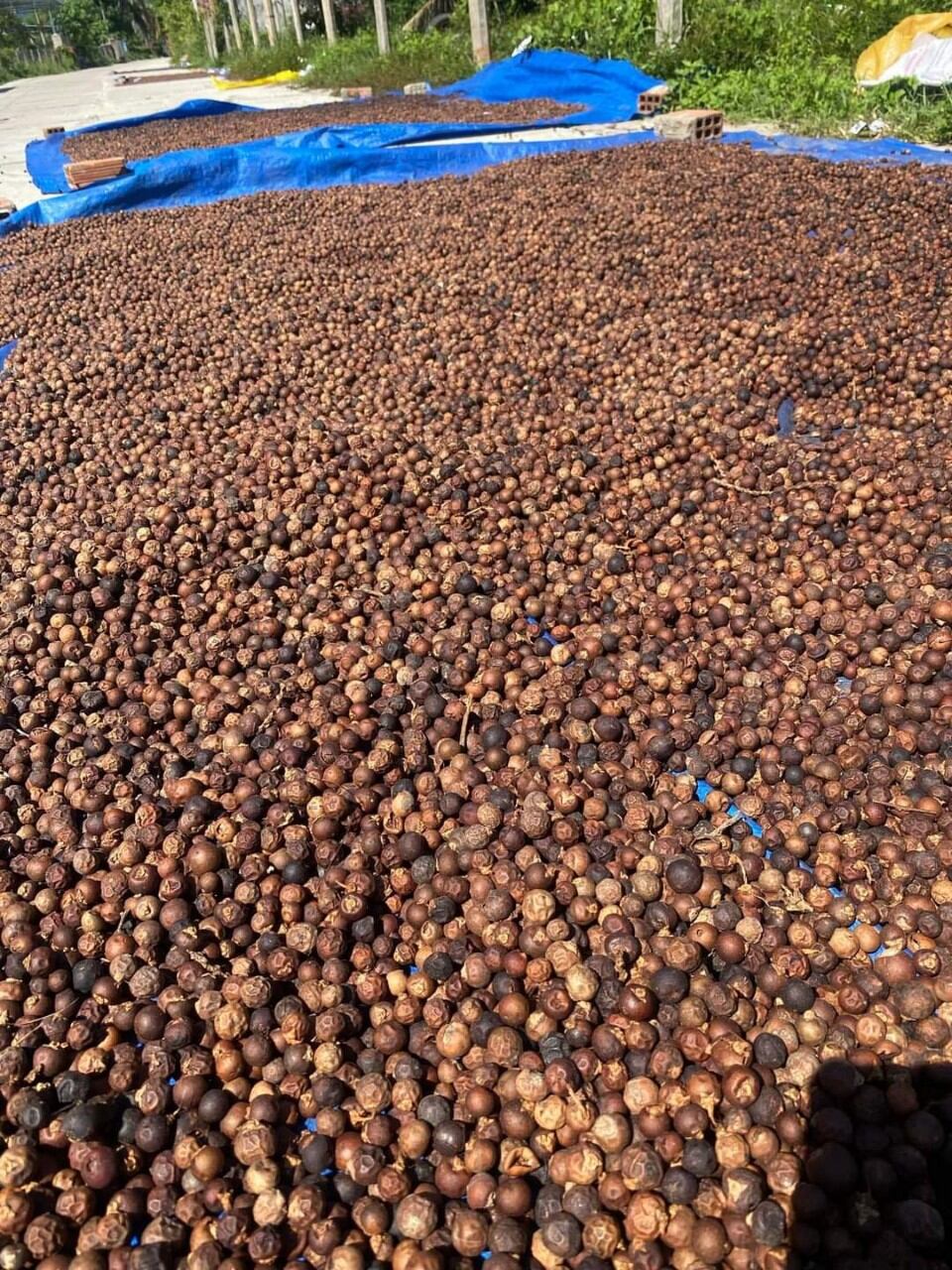 1kg trái đủng đỉnh khô