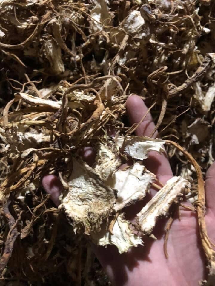 Sâm đương quy khô thái lát 200k/kg