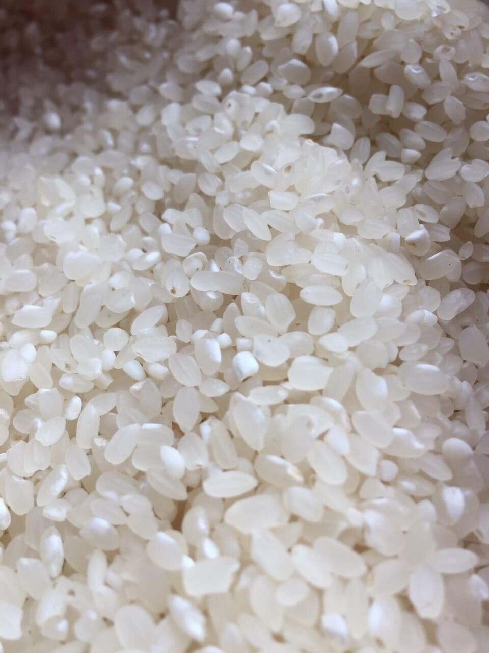[HÀNG LOẠI 1] Gạo nếp Cay Nooi Lào