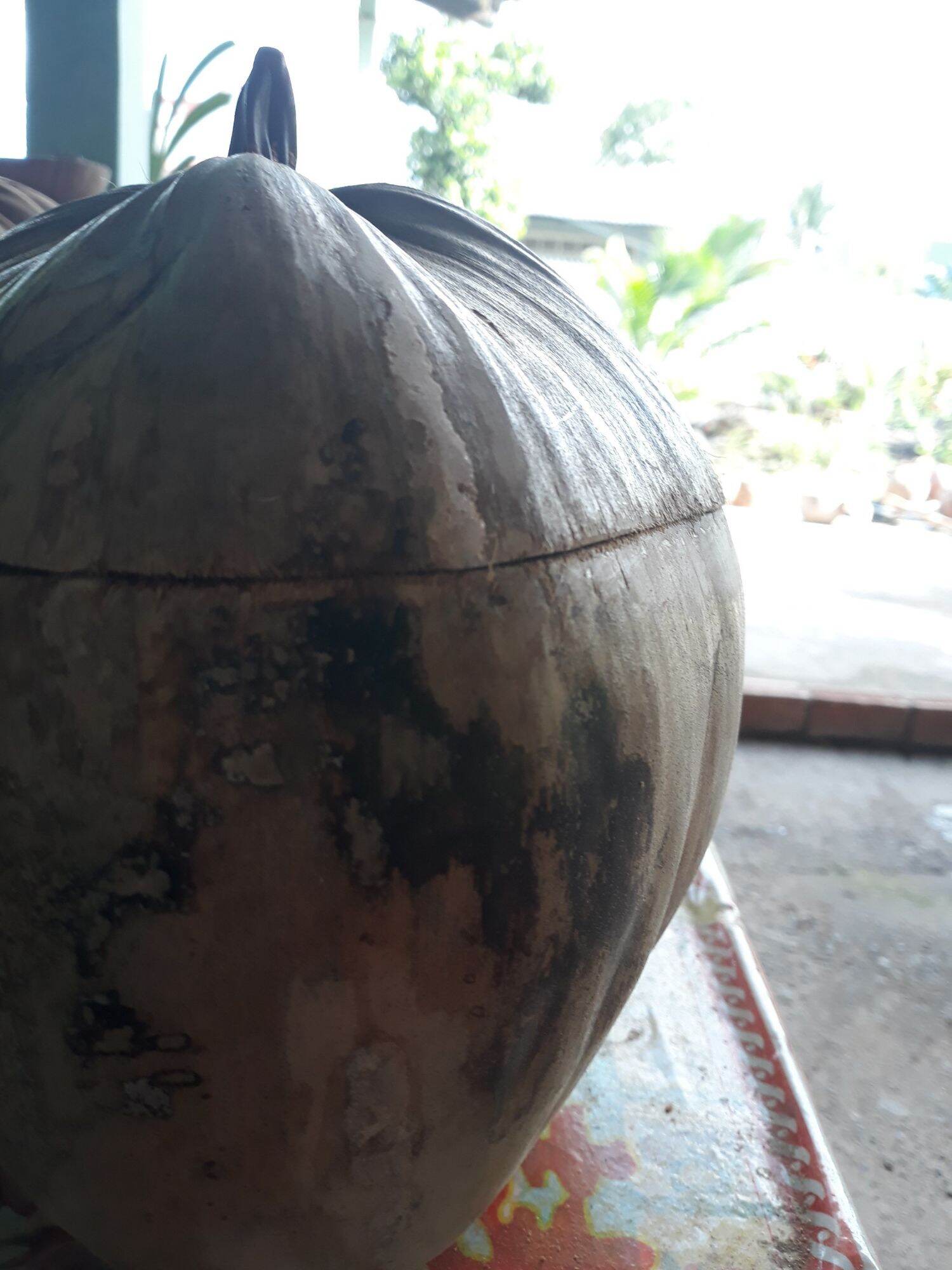 vỏ bình giữ ấm trà nguyên thủy