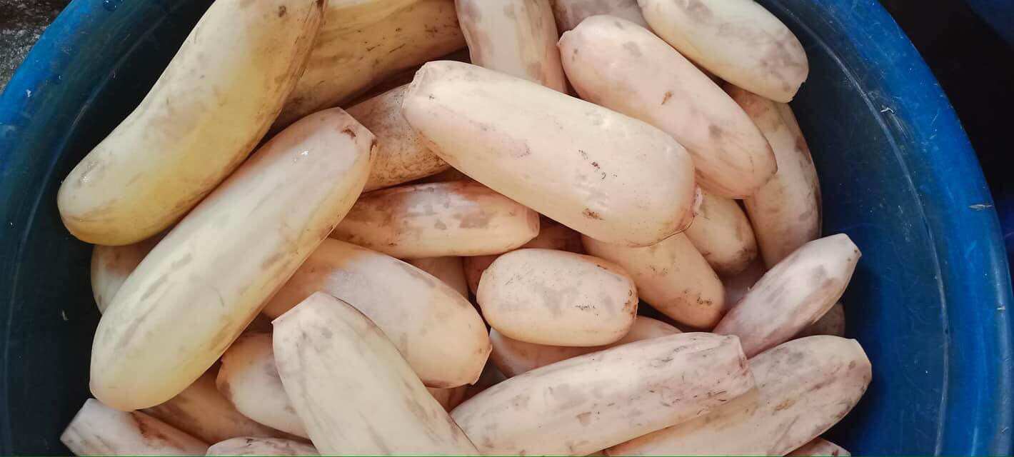 Tinh Bột Củ Sen Nguyên Chất-Túi 200gram.
